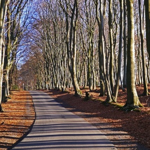 Hermannsweg am Teutoburger Wald