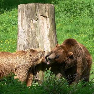 Tierpark Olderdissen